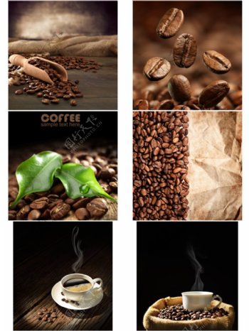 咖啡豆和咖啡