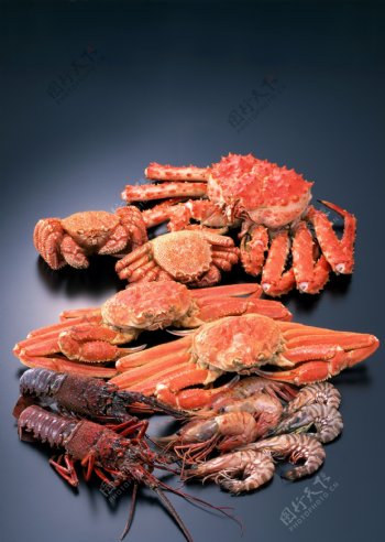 虾蟹摄影图片