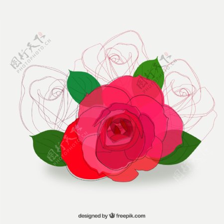 彩绘红色玫瑰花