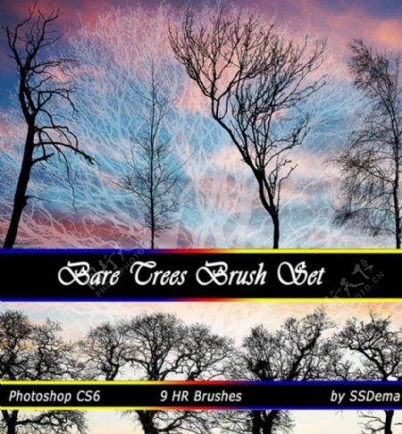 9种真实的树木剪影阴影效果photoshop笔刷素材