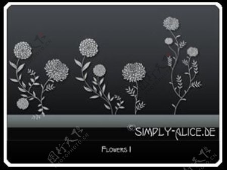 漂亮的植物花纹照片美图背景边框饰品PS笔刷.21
