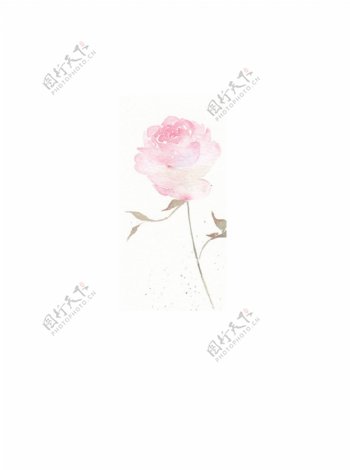 手绘玫瑰花素材元素