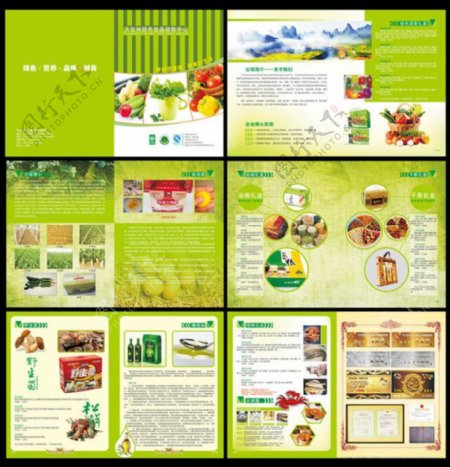 环保绿色食品画册设计矢量素材