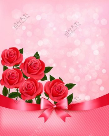 红色漂亮玫瑰花背景图
