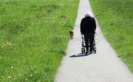 道路上的老年人和狗