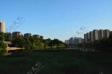 城市湿地公园图片