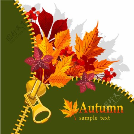 秋季元素与金叶背景矢量素材