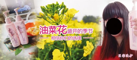 海报油菜花的季节图片