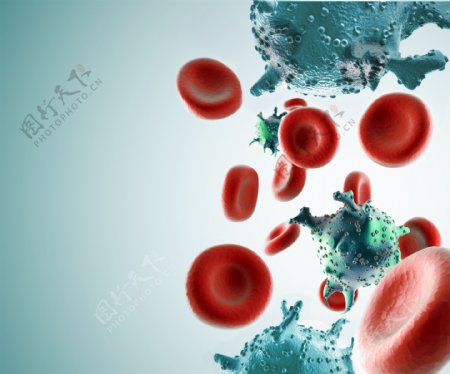 血细胞与病毒图片