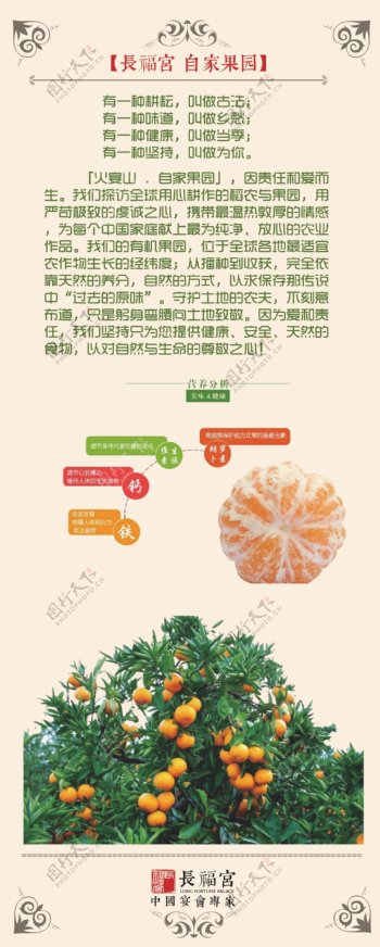 橘子营养价值橘子宣传海报