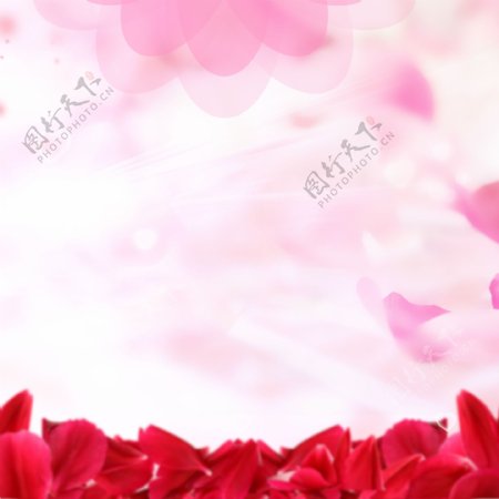 粉色红色花瓣