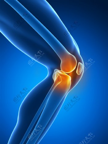 膝盖关节疼痛图片