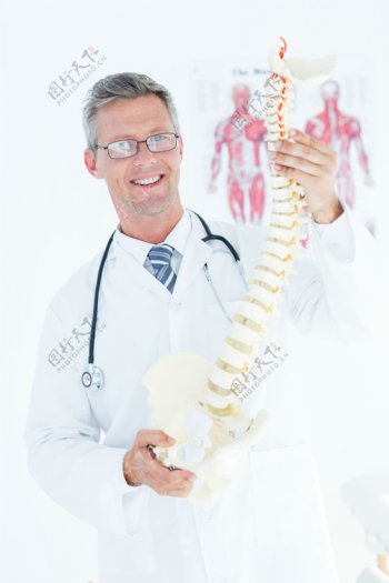 拿着人体脊椎模型的医生图片