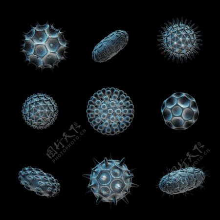 病毒微生物图片