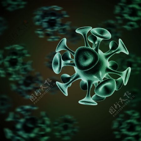 绿色喇叭形病毒图片