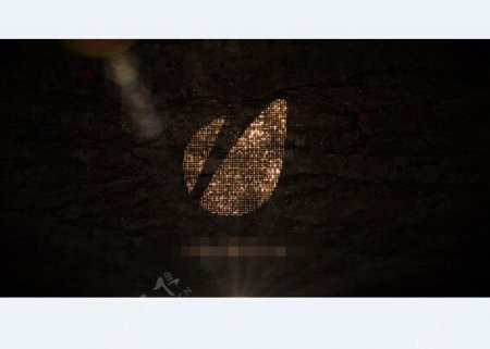 闪光钻石粒子logo标志展示AE模板