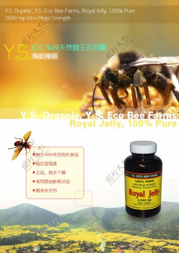 蜂蜜网页广告设计