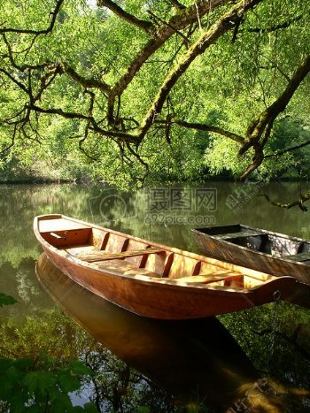树林里的小木船
