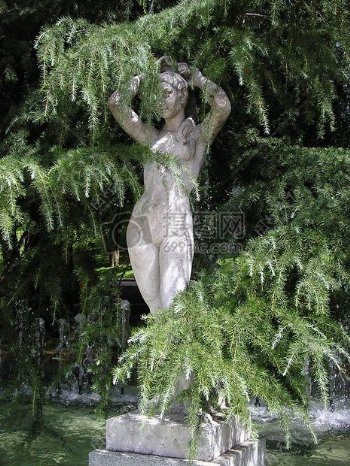 松树下的一尊女雕像