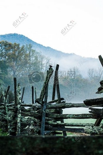 篱笆木老粗模式木材墙自然材料建设风化