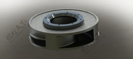 泵叶轮FI790mm保护环