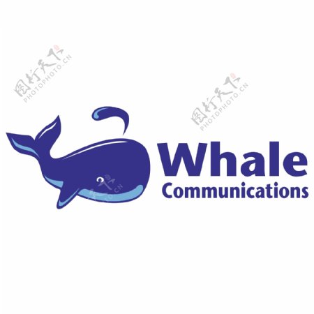 鲸鱼的通信