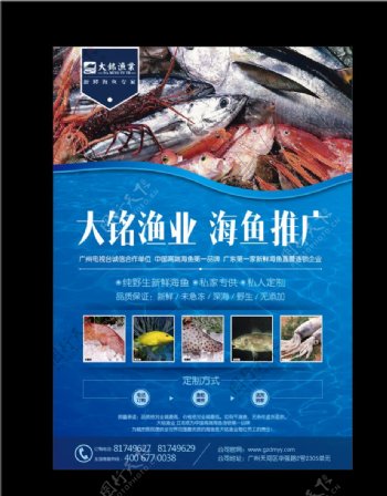 鱼类产品海报