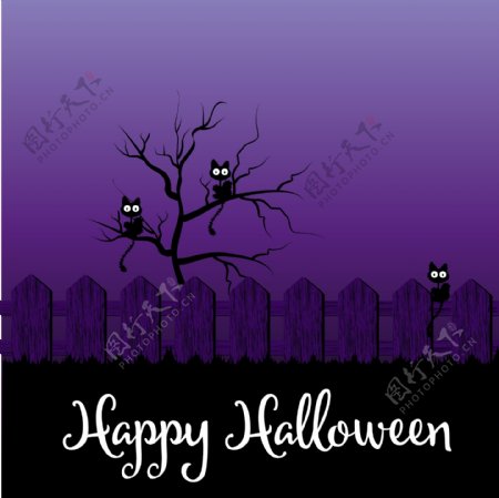 紫色背景与黑猫在万圣节之夜