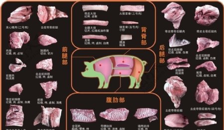 猪肉分割