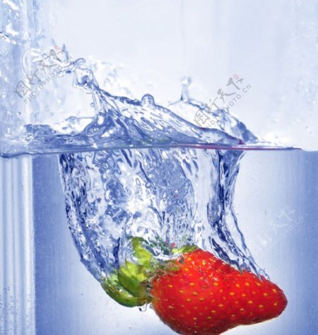 动感水中草莓