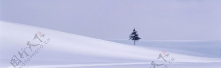 淘宝冬日雪景背景图片素材29