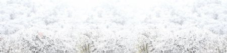 雪树1920全屏背景素材124