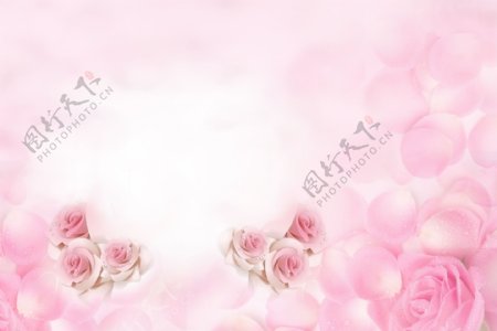 水粉色女性浪漫海报背景图