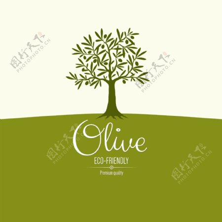 橄榄树标志图标