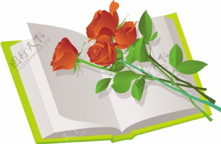 玫瑰花与书本情人节