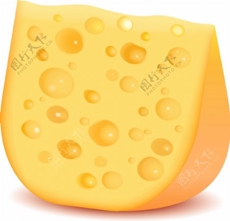 现实的奶酪的设计元素矢量集04