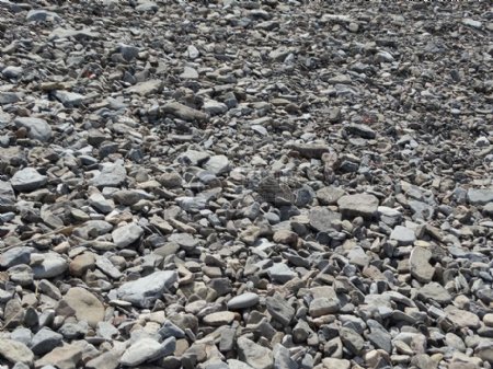 沙滩上的鹅卵石