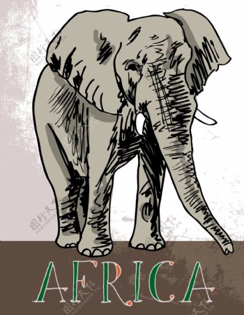 非洲矢量插画