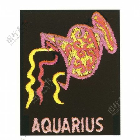 绣花文字英文aquarius色彩免费素材