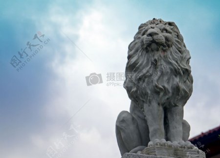 精美的狮子石像