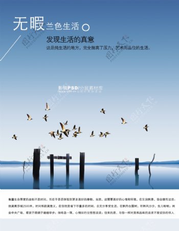 psd源文件风景自然景观蓝天白云海鸥海鸟