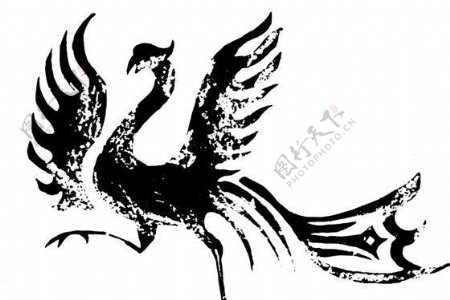 凤凰凤纹图案鸟类装饰图案矢量素材CDR格式0074