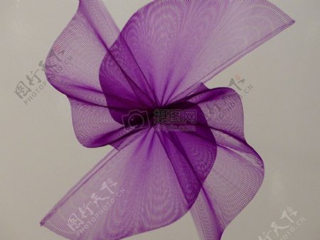 精美的紫色纱花