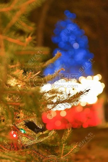灯光下的圣诞树
