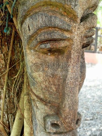 树干上的人脸雕塑