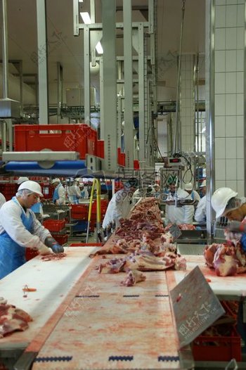 肉类的切割工厂