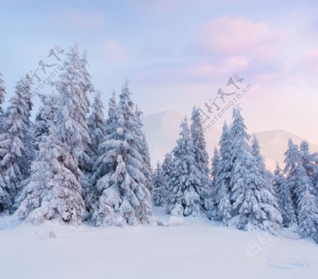 高清雪景背景素材