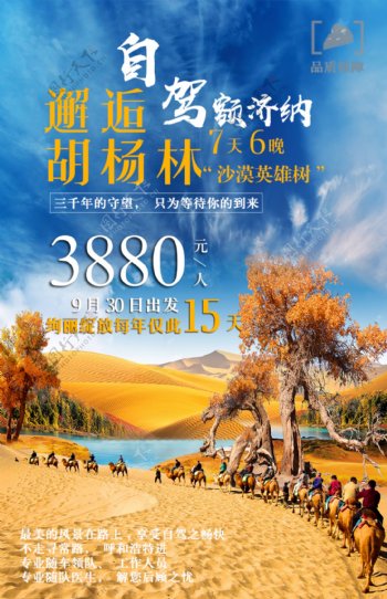 胡杨林旅游旅行宣传海报