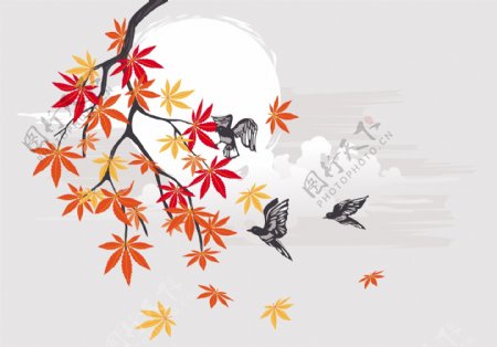 唯美日系秋季枫叶插画