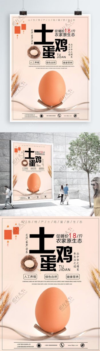 小清新唯美土鸡蛋土特产美食海报